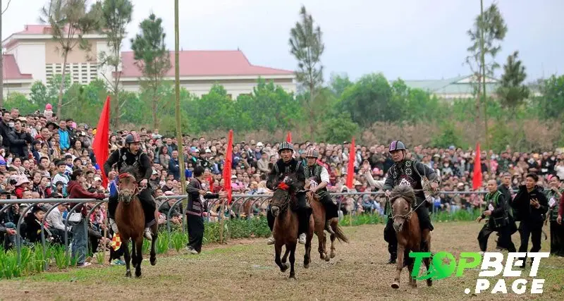 Các tính năng nổi bật của đua ngựa Shanrila Mường Lò