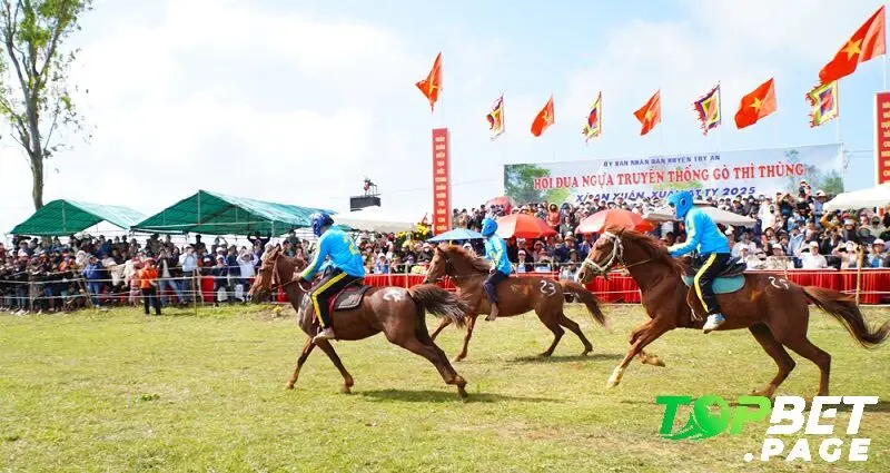 Chiến lược và mẹo khi tham gia đua ngựa Gò Thì Thùng
