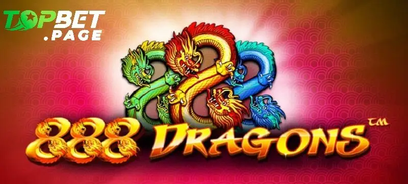 Giới thiệu tổng quan về Dragon 888 Topbet