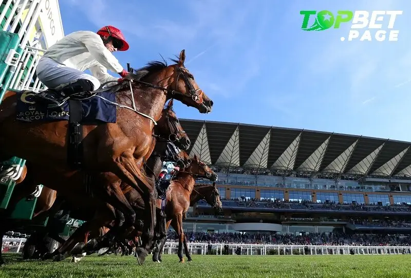 Một vài tính năng đặc biệt của đua ngựa Royal Ascot